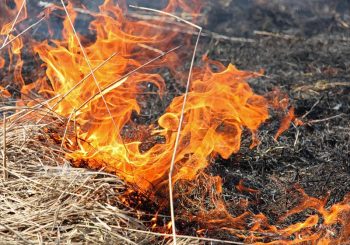 Порядок использования открытого огня и разведения костров на землях сельскохозяйственного назначения