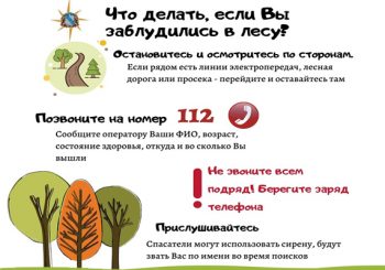 Как не потеряться в лесу: рекомендации по безопасности
